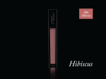 Lipgloss - Hibiscus